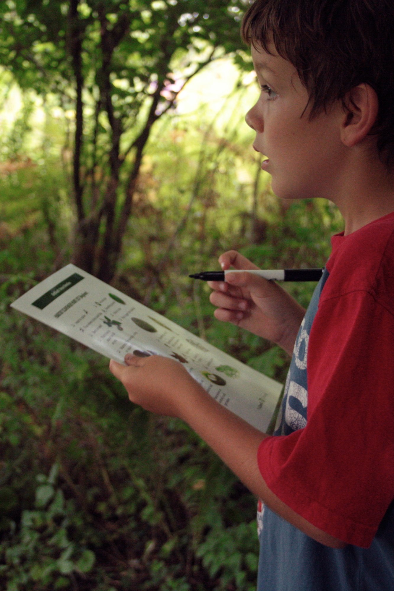 Boy holding a habitat scavenger hunt card and a marker