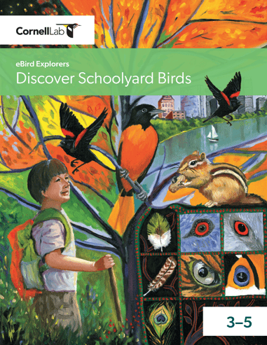 eBird Explorers 3-5 Cover