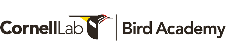 Links to Cornell Lab's Bird Academy
