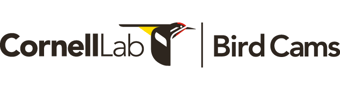 Cornell Lab - Bird Cams