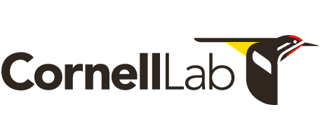 tap or click to visit Cornell Lab website