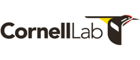 Links to Cornell Lab of Ornithology homepage