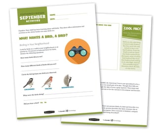 Activity sheets for Feathered Friends September Activities. More info on the content can be found through the download the lessons link below.