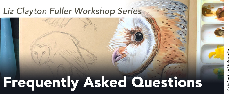 A painting of a barn owl. Text: Liz Clayton Fuller Workshop Series Frequently Asked Questions