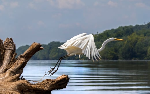 Click or tap to read about the hike to save the C&O Canal. 