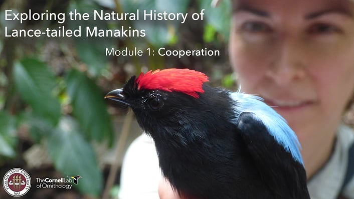 ManakinModule1TitleSlide.jpg