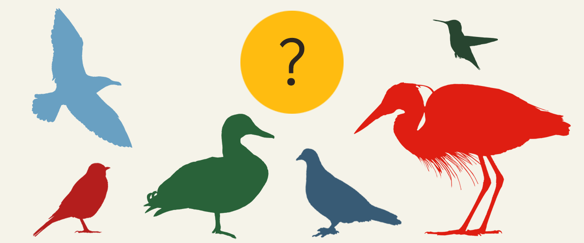 Mystery_Header2.jpg Mystery_Header2.jpg