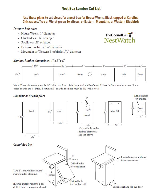 Download This Free Nest Box Construction Guide