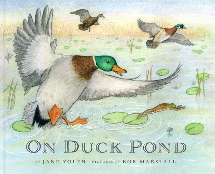 On  Duck Pond.jpg