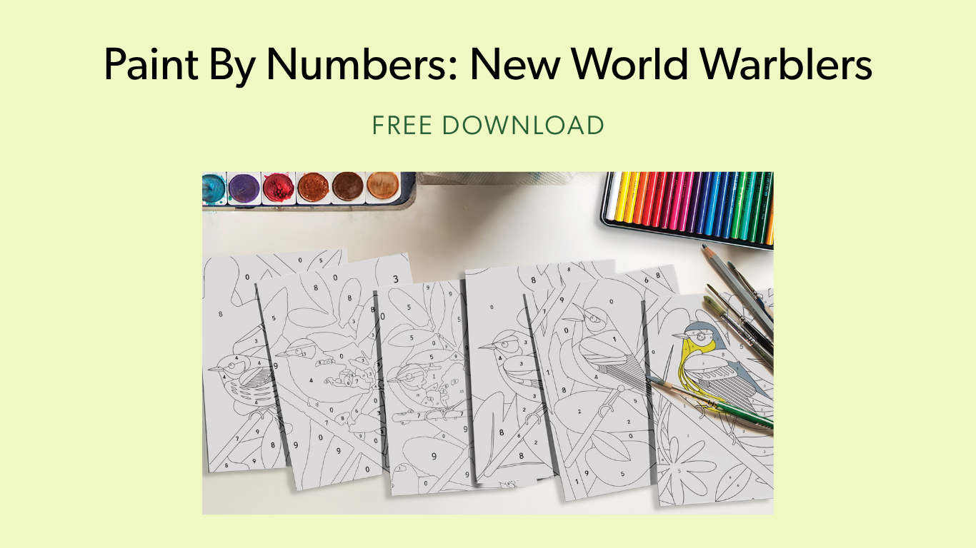 6 half completed paint by numbers coloring sheets. Text reads: Paint by numbers: new world warblers. Free download.
