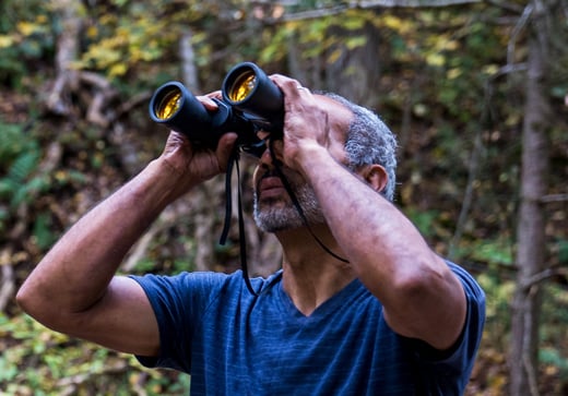 Click or tap to read pros and cons of different binocular sizes