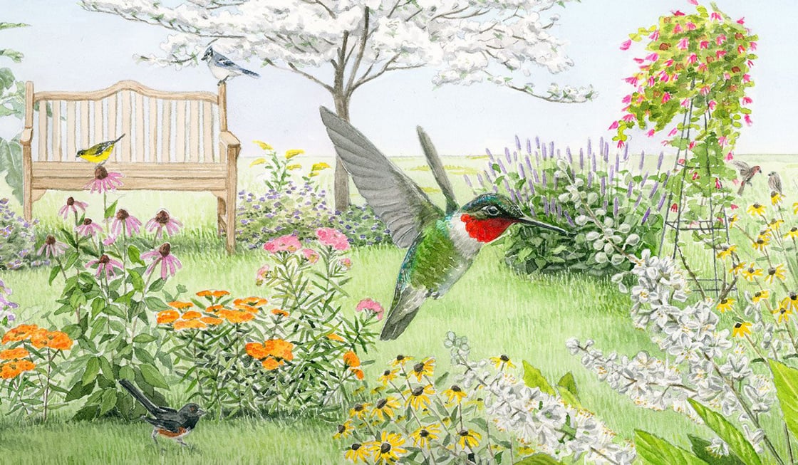 Tap or click to read the article about gardening with native plants
