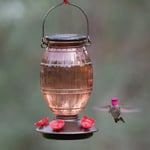Perky-Pet® Prohibition Top-Fill Glass Hummingbird Feeder