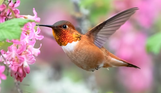 Click or tap to learn