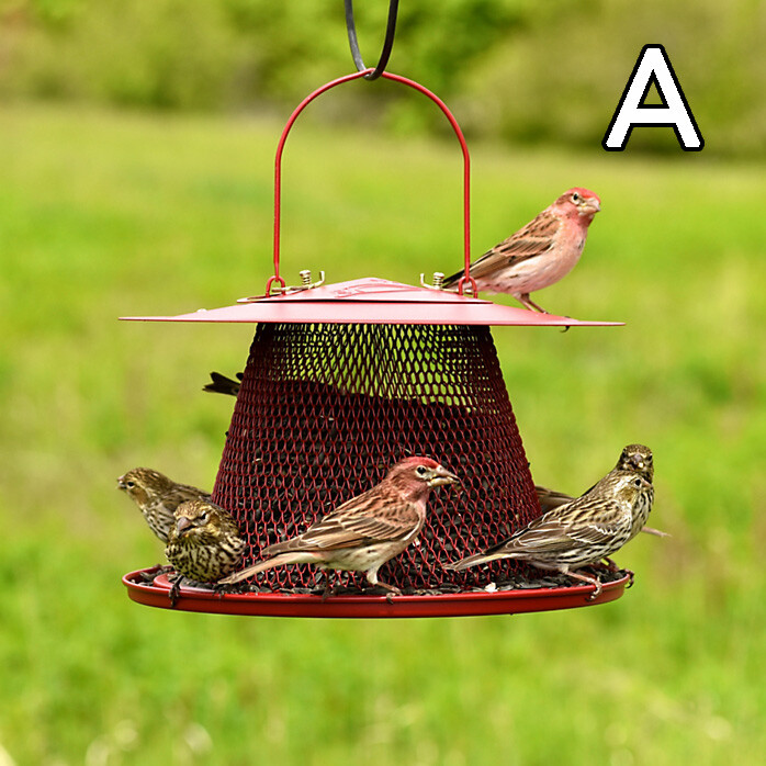 Perky-Pet® Red Cardinal Wild Bird Feeder