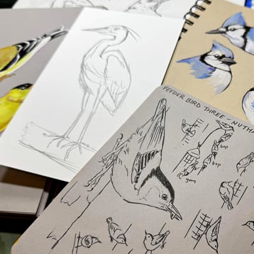 Live Sketching with Liz