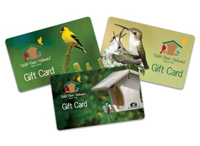 WBU Giftcards-2