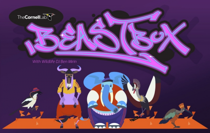 beastbox-720x458