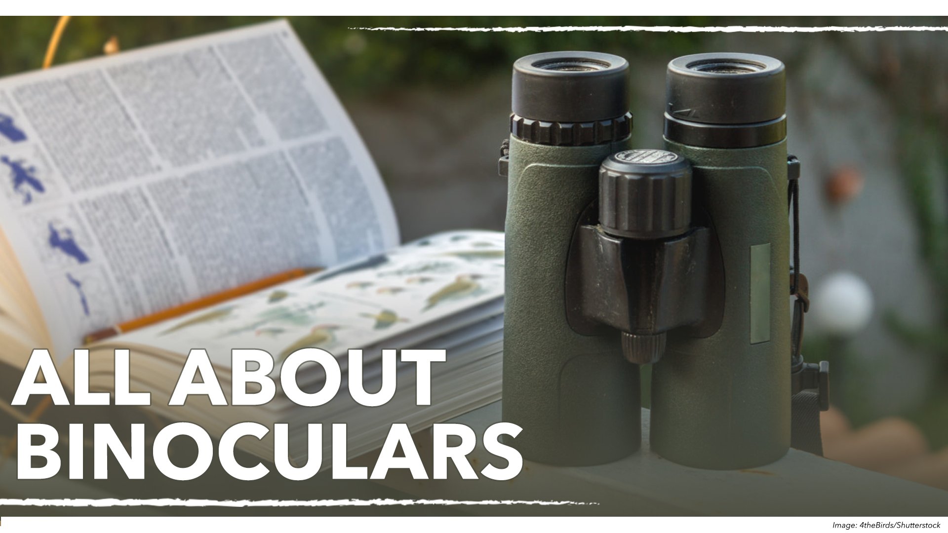 Text: All About Binoculars