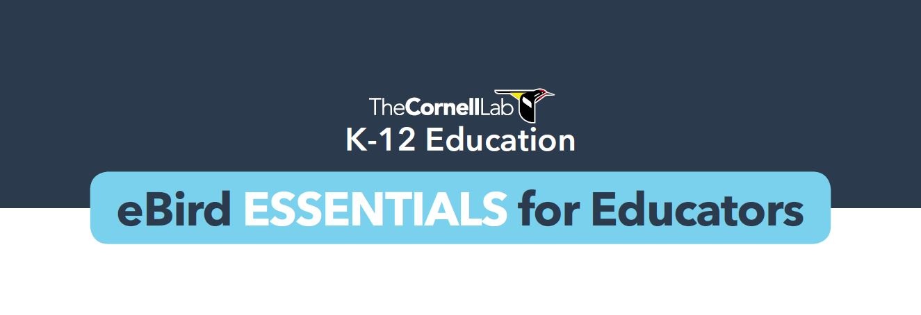 eBird Essentials for Educators