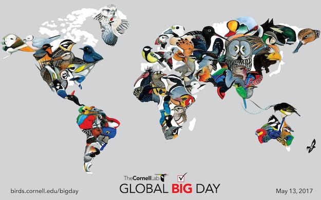 Cornell_Lab_Global_Big_Day_Map-625px.jpg