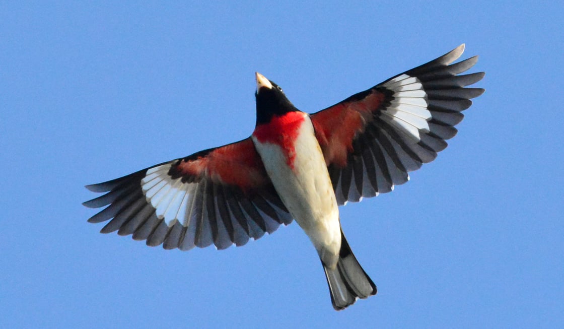 Tap or click to read about the "sister city" connections between cities across the Americas