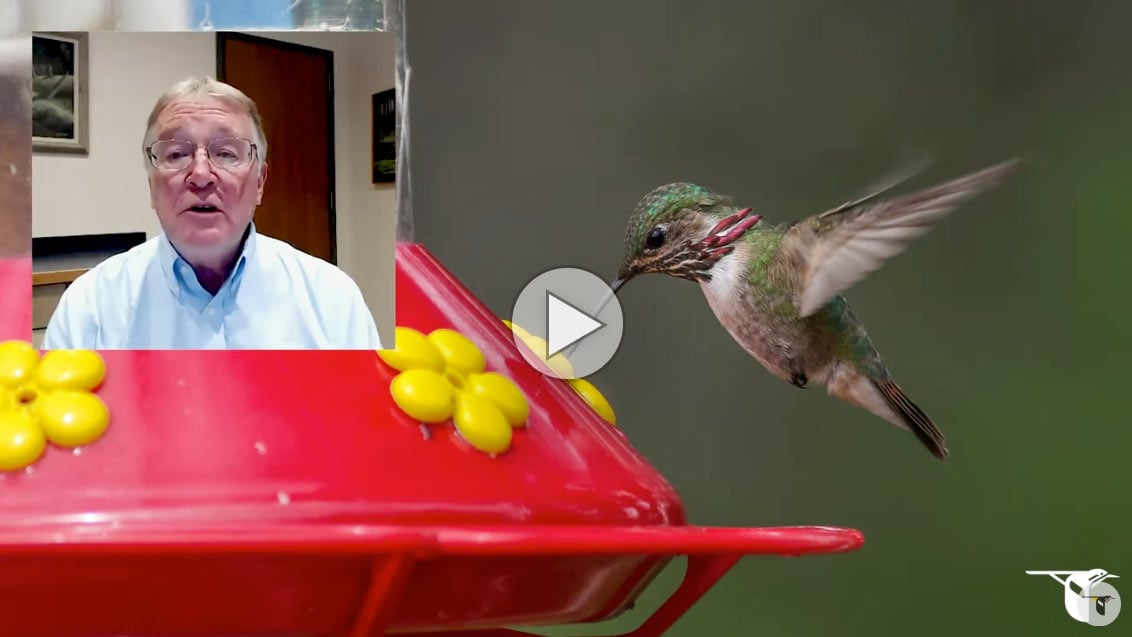 enews-kevin-migration-faq