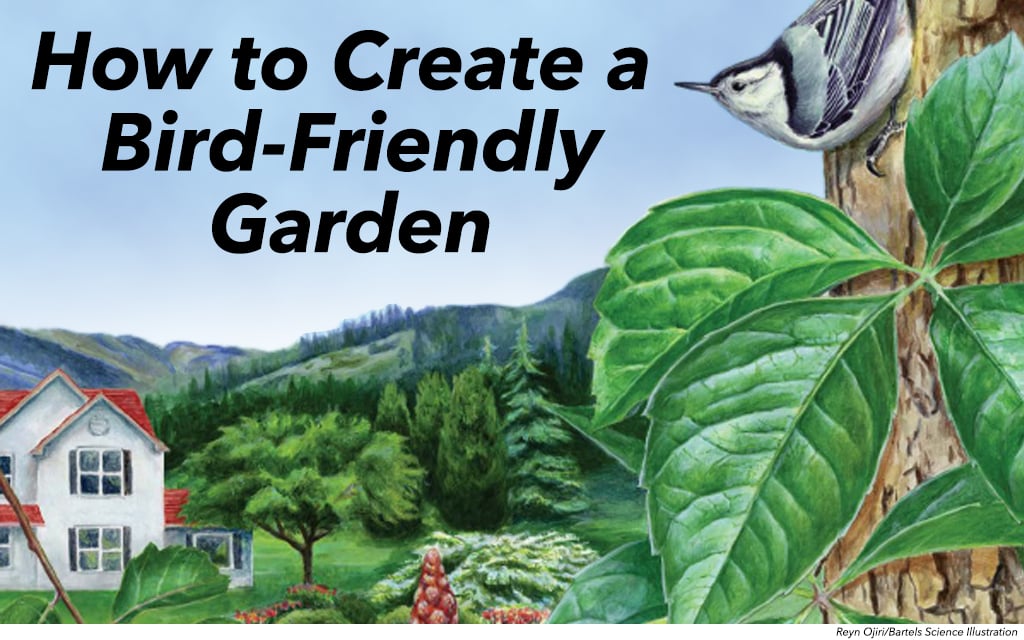 gardening-pdf-landing-page-graphic