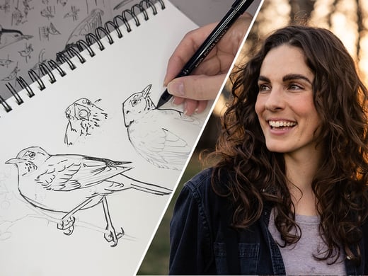 Tap to register for a live webinar about how to draw birds.