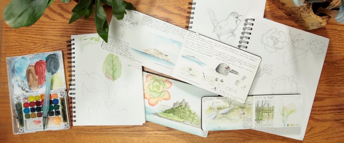 Nature Journaling and Sketching Tips article.