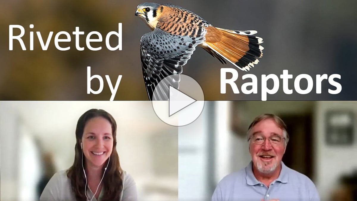 CLick or tap to watch our expert discss common raptors of North America