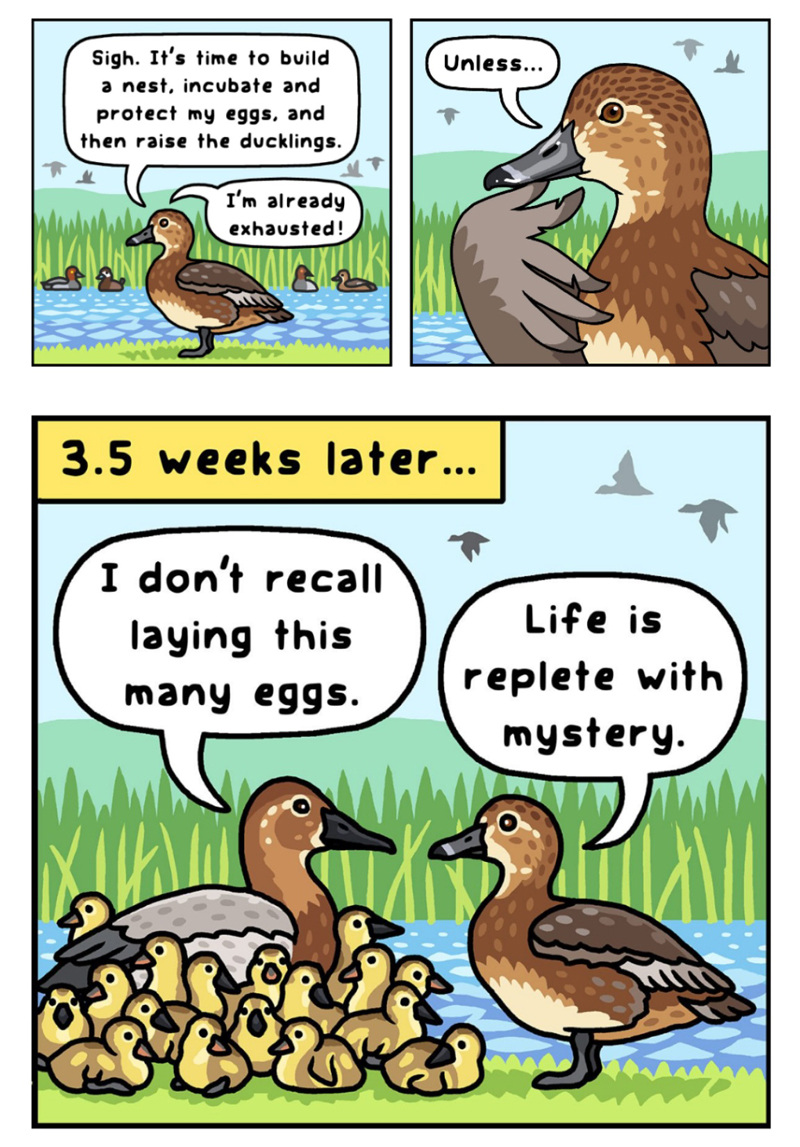 mosco-better--Screenshot_20240509-132026