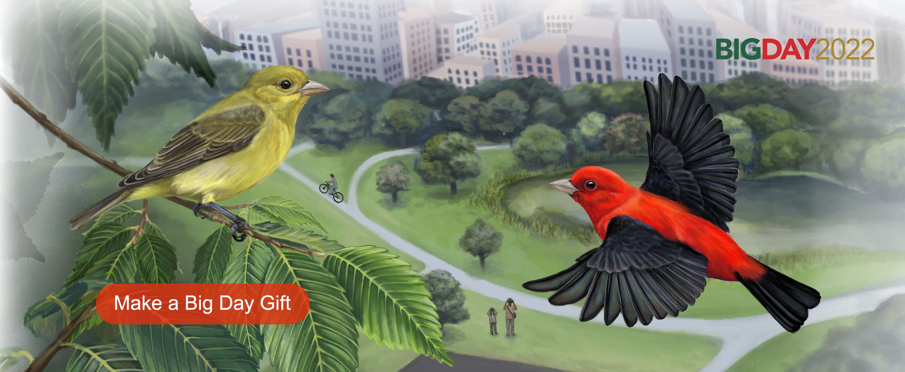 Illustration of Scarlet Tanagers by Liz Wahid