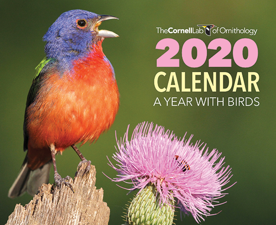 Receive the 2020 Cornell Lab Calendar