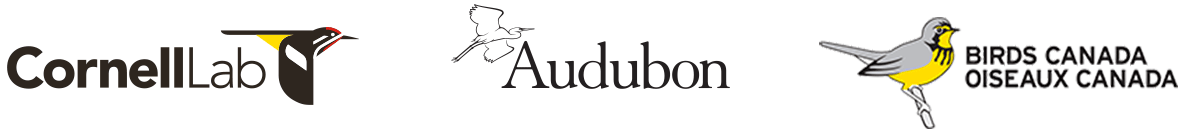 Cornell Lab, Audubon, Birds Canada / Oiseax Canada