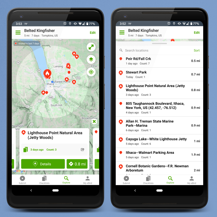 View of the eBird app on a moblie phone. 